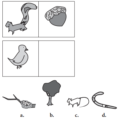 Question figure