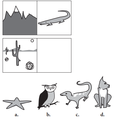 Question figure
