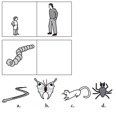Question figure