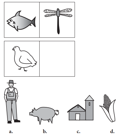 Question figure