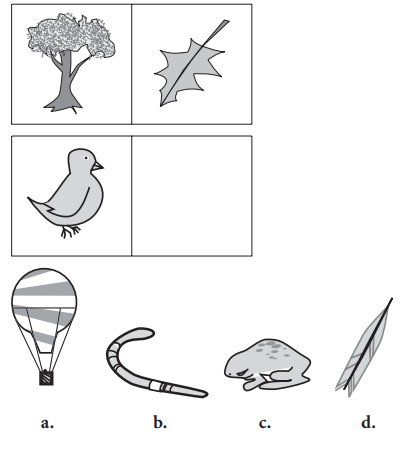 Question figure